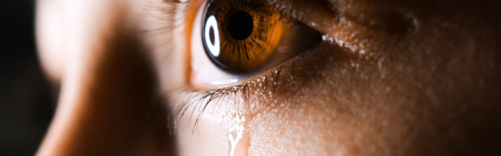 Image slider